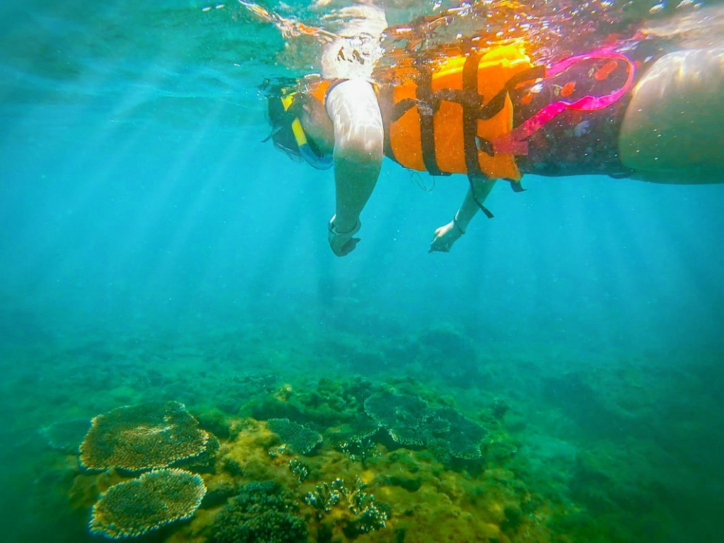 Snorkle in Cham Island