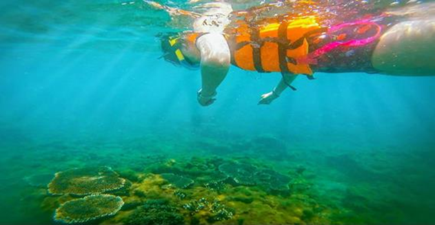 Vietnam’s Heritage Sip, Paddle, Dzo! (9 Days)