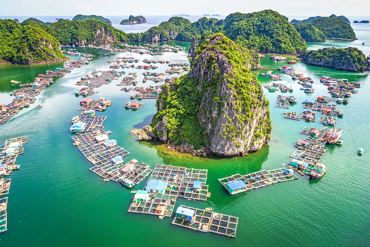 Luxe Cruising: Ha Long to Lan Ha Bay  (3 Days)