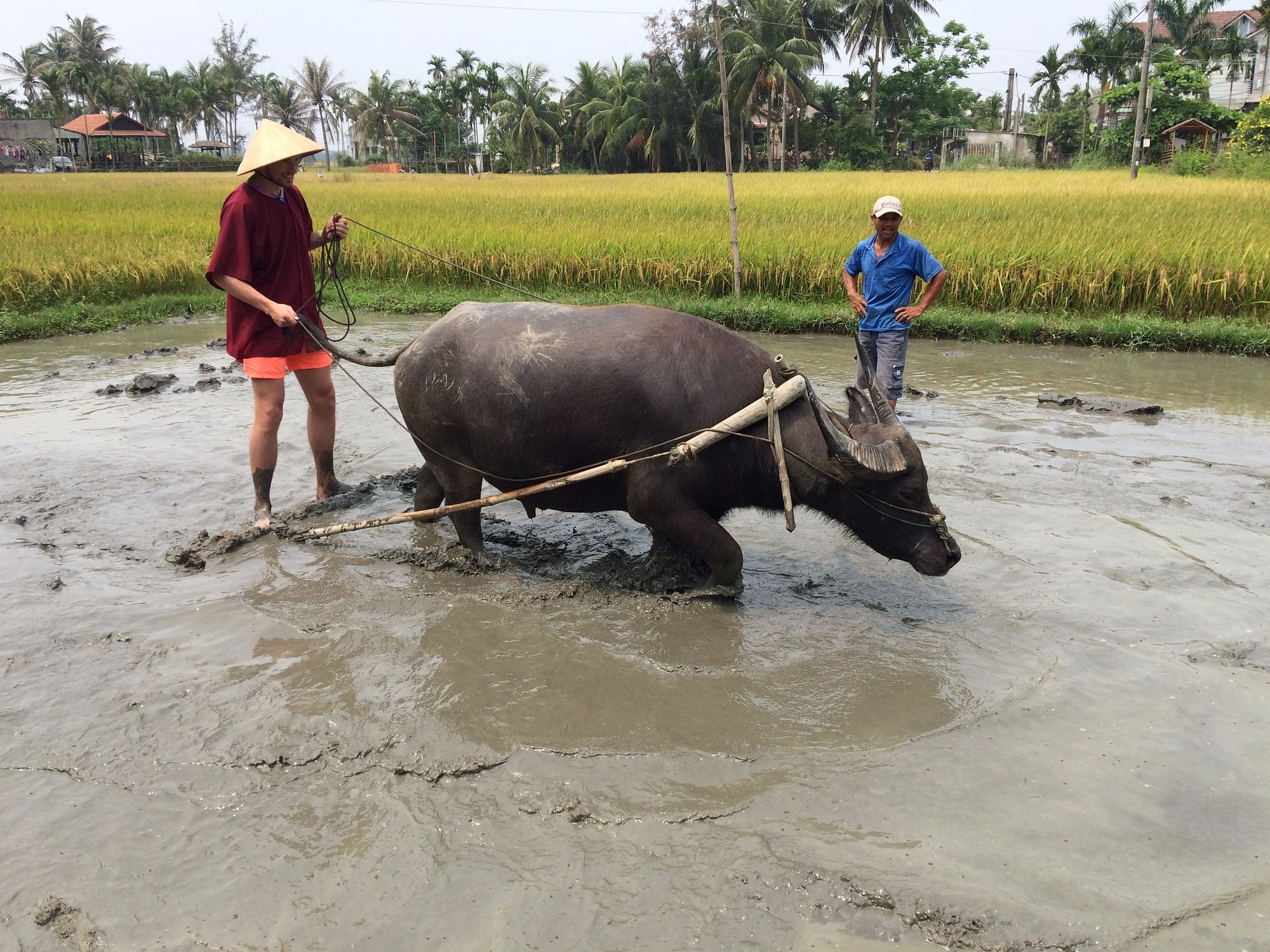 From Fishermen to Rice Farmers (1 Day)